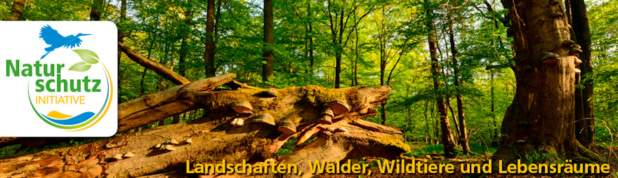Naturschutz-Initiative Naturschutz-Initiative