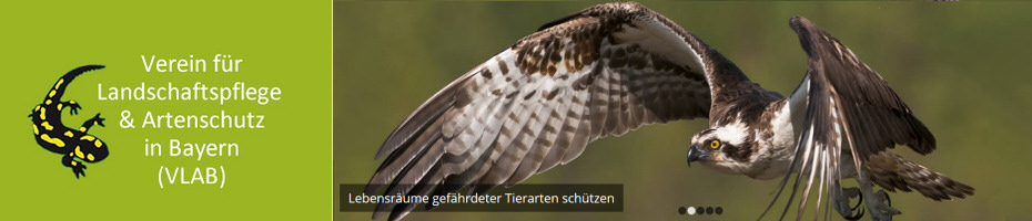 Verein für Landschaftspflege & Artenschutz in Bayern (VLAB) Verein für Landschaftspflege & Artenschutz in Bayern (VLAB)
